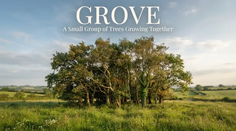 synonym for grove